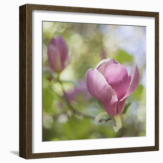 Magnolia Forever-Viviane Fedieu Daniel-Framed Photographic Print