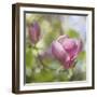 Magnolia Forever-Viviane Fedieu Daniel-Framed Photographic Print