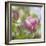 Magnolia Forever-Viviane Fedieu Daniel-Framed Photographic Print