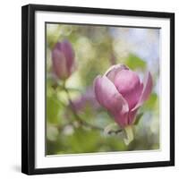 Magnolia Forever-Viviane Fedieu Daniel-Framed Photographic Print