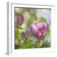 Magnolia Forever-Viviane Fedieu Daniel-Framed Photographic Print