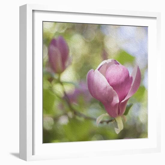 Magnolia Forever-Viviane Fedieu Daniel-Framed Photographic Print