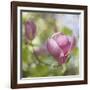 Magnolia Forever-Viviane Fedieu Daniel-Framed Photographic Print