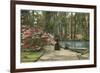 Magnolia Gardens, Charleston, South Carolina-null-Framed Art Print