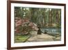 Magnolia Gardens, Charleston, South Carolina-null-Framed Art Print