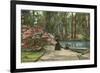 Magnolia Gardens, Charleston, South Carolina-null-Framed Art Print