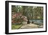 Magnolia Gardens, Charleston, South Carolina-null-Framed Art Print