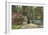 Magnolia Gardens, Charleston, South Carolina-null-Framed Art Print