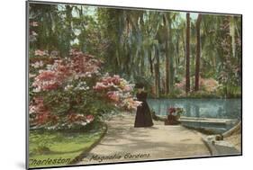 Magnolia Gardens, Charleston, South Carolina-null-Mounted Art Print