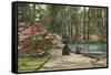 Magnolia Gardens, Charleston, South Carolina-null-Framed Stretched Canvas