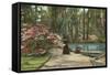 Magnolia Gardens, Charleston, South Carolina-null-Framed Stretched Canvas