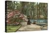 Magnolia Gardens, Charleston, South Carolina-null-Stretched Canvas