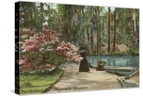 Magnolia Gardens, Charleston, South Carolina-null-Stretched Canvas