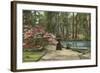 Magnolia Gardens, Charleston, South Carolina-null-Framed Art Print