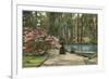 Magnolia Gardens, Charleston, South Carolina-null-Framed Premium Giclee Print
