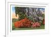 Magnolia Gardens, Charleston, South Carolina-null-Framed Art Print