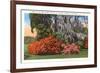 Magnolia Gardens, Charleston, South Carolina-null-Framed Art Print