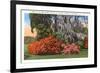 Magnolia Gardens, Charleston, South Carolina-null-Framed Art Print