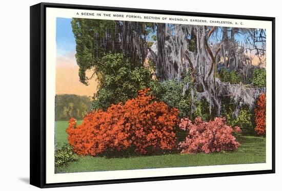 Magnolia Gardens, Charleston, South Carolina-null-Framed Stretched Canvas