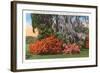 Magnolia Gardens, Charleston, South Carolina-null-Framed Art Print