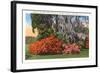 Magnolia Gardens, Charleston, South Carolina-null-Framed Art Print