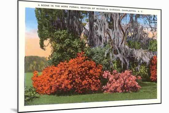 Magnolia Gardens, Charleston, South Carolina-null-Mounted Art Print