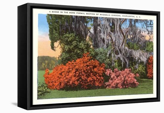 Magnolia Gardens, Charleston, South Carolina-null-Framed Stretched Canvas