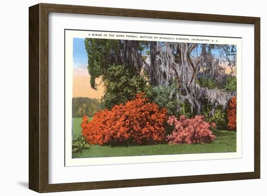 Magnolia Gardens, Charleston, South Carolina-null-Framed Art Print