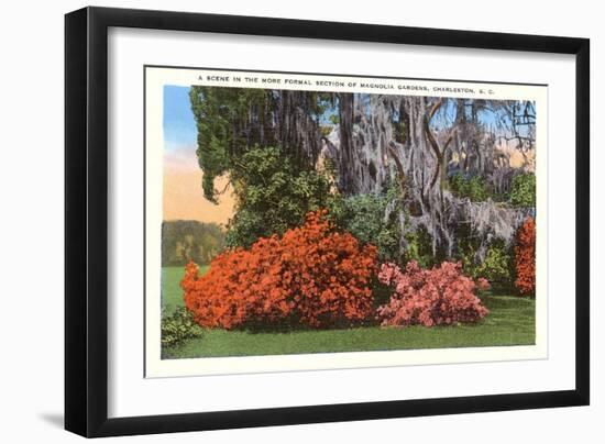 Magnolia Gardens, Charleston, South Carolina-null-Framed Art Print