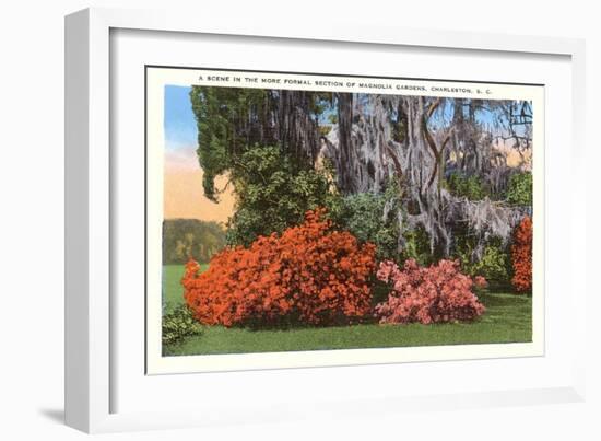 Magnolia Gardens, Charleston, South Carolina-null-Framed Art Print