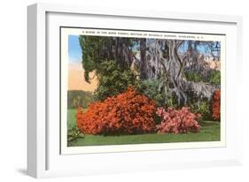 Magnolia Gardens, Charleston, South Carolina-null-Framed Art Print
