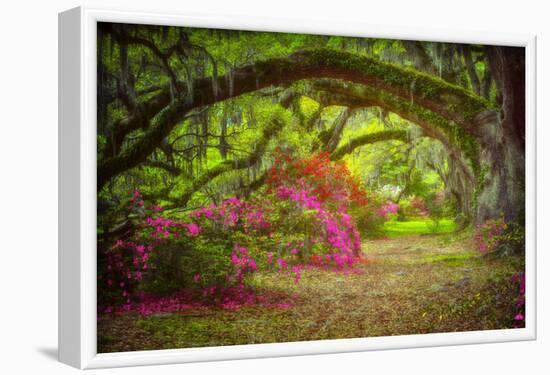 Magnolia Gardens-Robert Lott-Framed Art Print