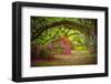 Magnolia Gardens-Robert Lott-Framed Art Print