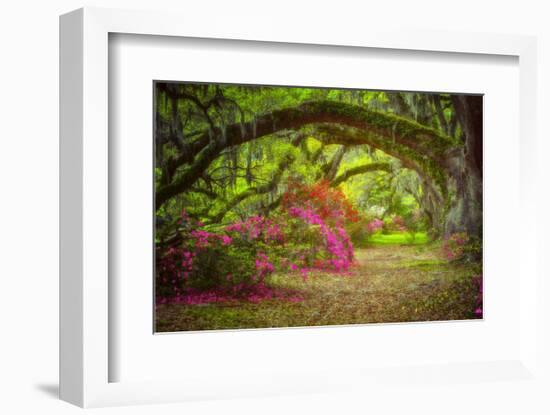 Magnolia Gardens-Robert Lott-Framed Art Print