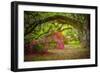 Magnolia Gardens-Robert Lott-Framed Art Print