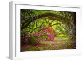 Magnolia Gardens-Robert Lott-Framed Art Print