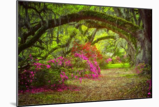 Magnolia Gardens-Robert Lott-Mounted Art Print