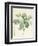 Magnolia Glauca, 1811-Pierre Joseph Redoute-Framed Premium Giclee Print