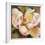 Magnolia Glow I-Carson-Framed Giclee Print