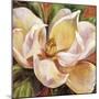 Magnolia Glow I-Carson-Mounted Giclee Print