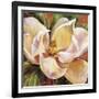 Magnolia Glow I-Carson-Framed Giclee Print