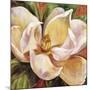 Magnolia Glow I-Carson-Mounted Giclee Print