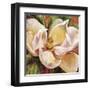 Magnolia Glow I-Carson-Framed Giclee Print