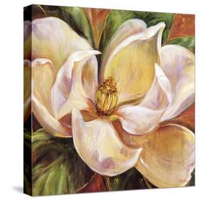 Magnolia Glow I-Carson-Stretched Canvas