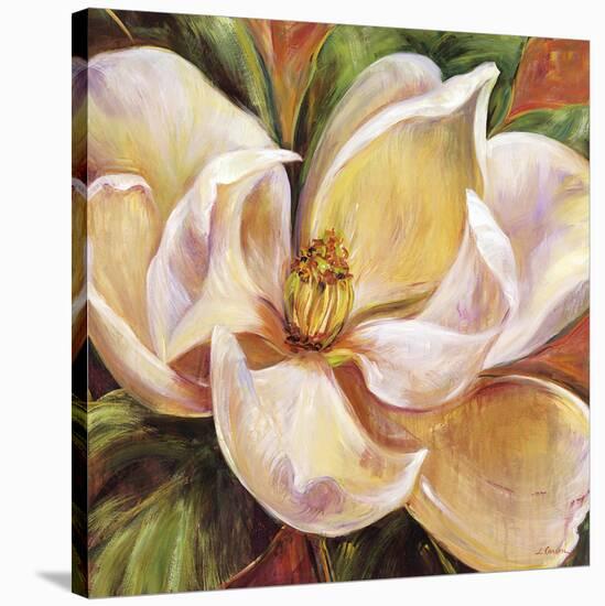 Magnolia Glow I-Carson-Stretched Canvas