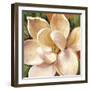 Magnolia Glow II-Carson-Framed Giclee Print