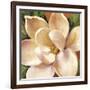 Magnolia Glow II-Carson-Framed Giclee Print