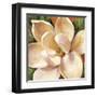 Magnolia Glow II-Carson-Framed Giclee Print