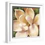 Magnolia Glow II-Carson-Framed Giclee Print