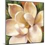 Magnolia Glow II-Carson-Mounted Giclee Print